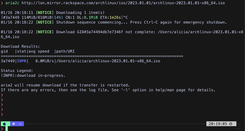 aria2-example-usage