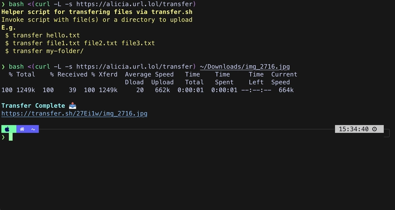 transfer-sh-example-usage